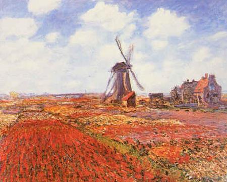 Claude Monet Tulip Fields with Windmill Norge oil painting art